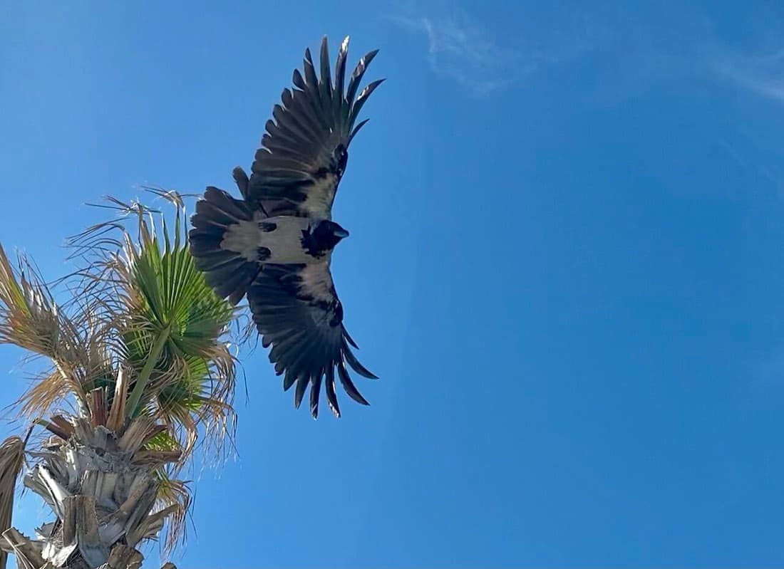 Antalya